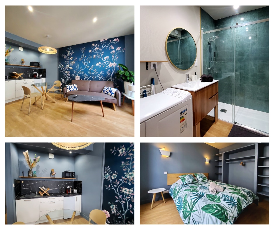 The living area features a modern design with floral wallpaper, a cozy sofa, and a dining table. A well-equipped kitchen is visible with sleek cabinetry and appliances. The bathroom includes a glass shower and laundry facilities, while the sleeping area displays a queen-size bed with tropical-themed bedding.