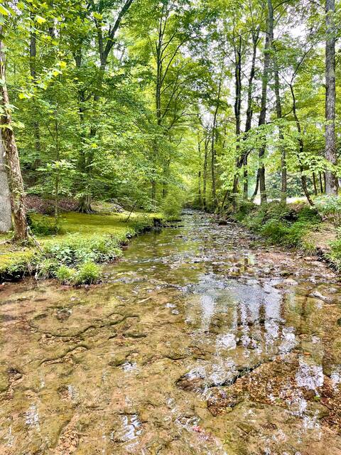 Quaint & Serene Creekside Retreat + Pet friendly