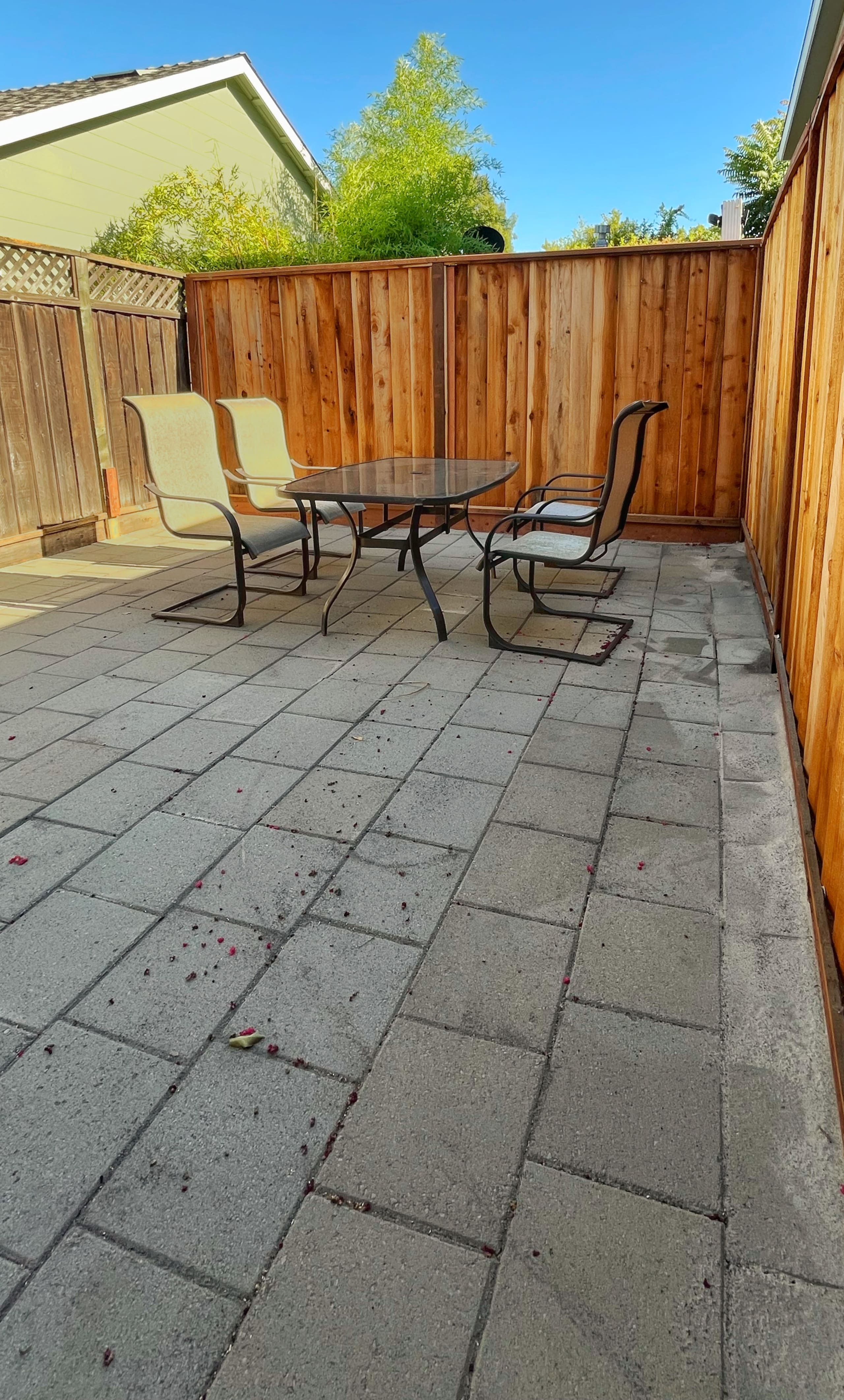 San Jose Home with Private Back Unit, Near SJC - Photo 37