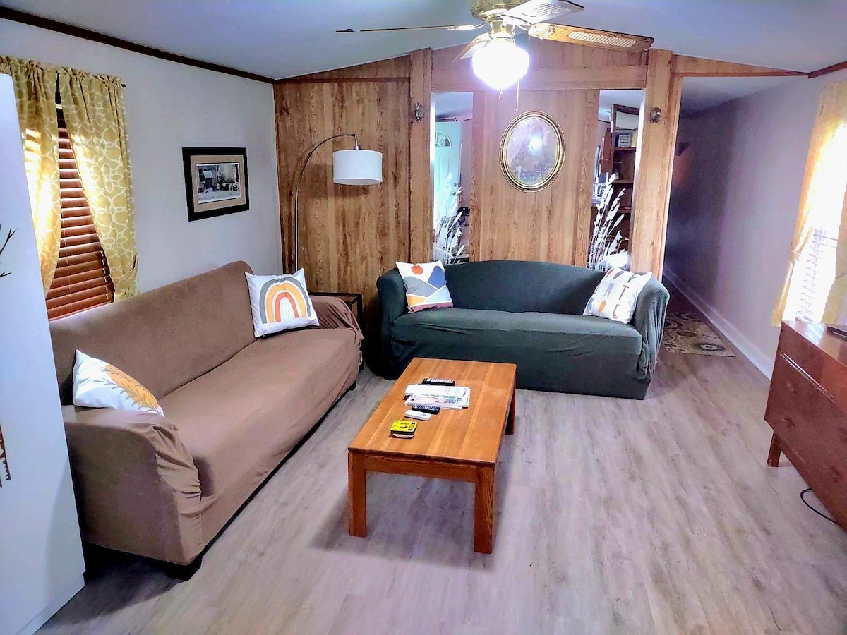 A cozy living area features two comfortable sofas, one in brown and the other in green. A wooden coffee table sits in the center, surrounded by natural light from nearby windows, adorned with cheerful curtains and decorative pillows, creating a welcoming space for relaxation.
