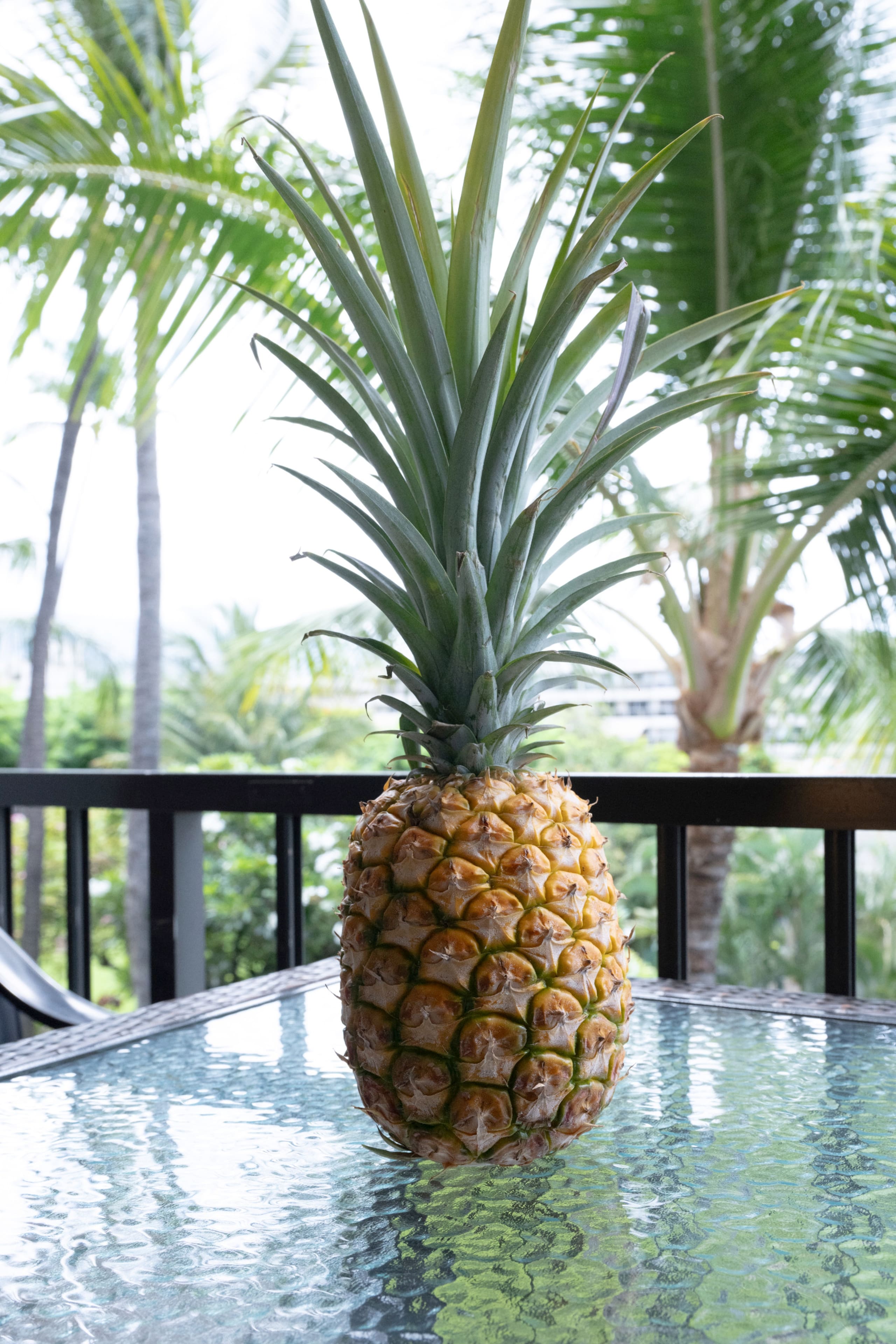 Condo in Kihei · ★5.0 · 1 bedroom · 2 beds · 1 bath - Image 42