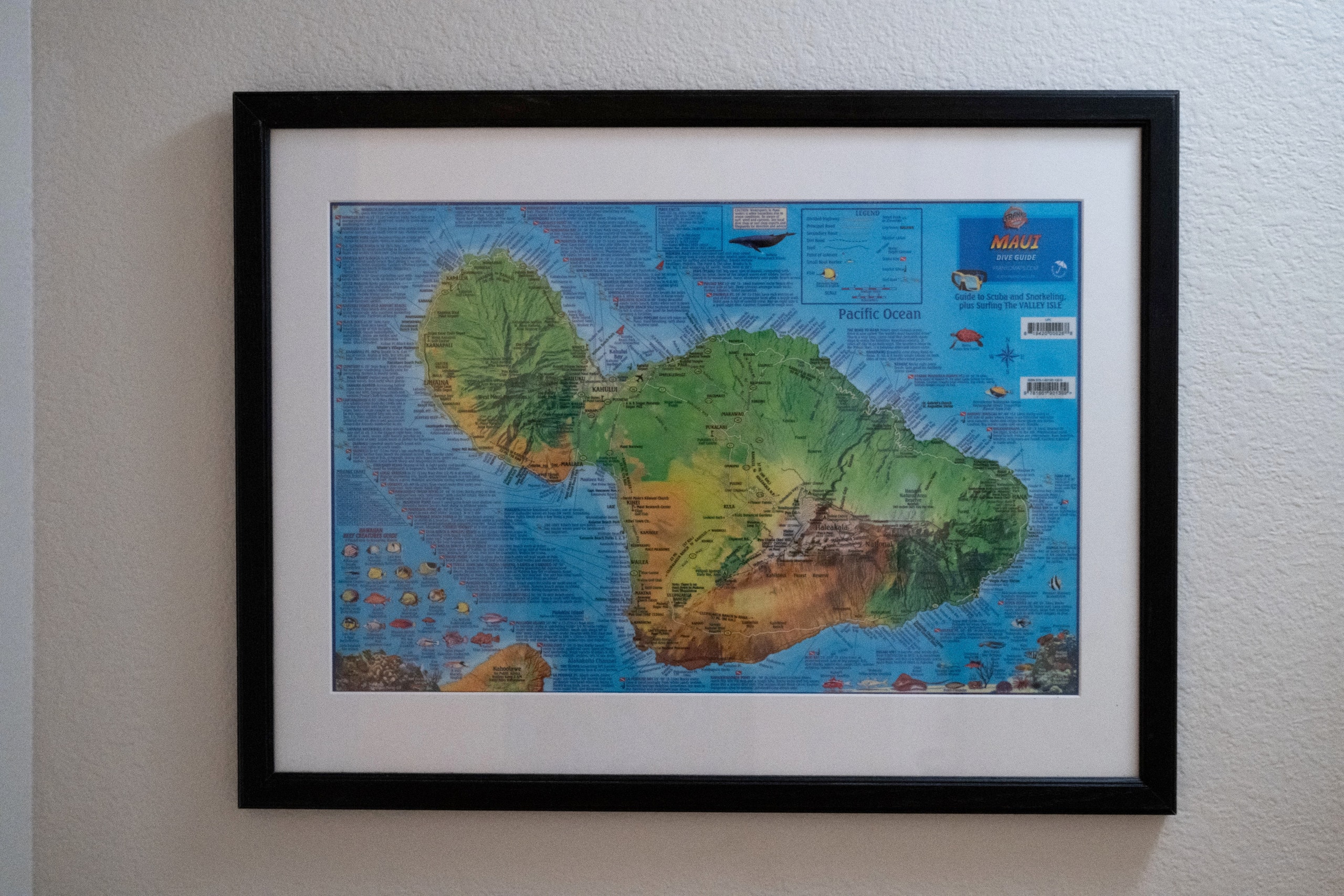 Condo in Kihei · ★5.0 · 1 bedroom · 2 beds · 1 bath - Image 34