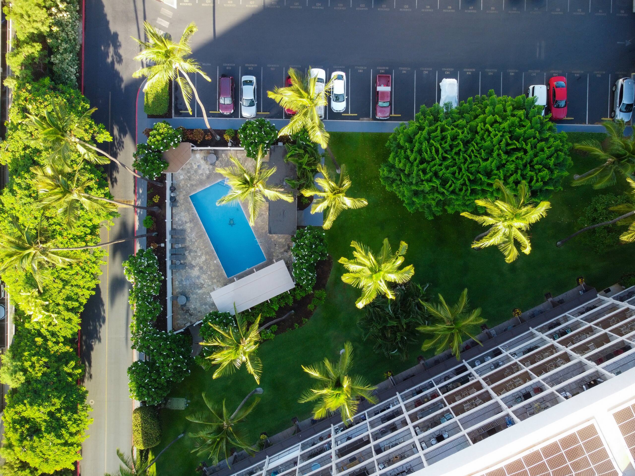 Condo in Kihei · ★5.0 · 1 bedroom · 2 beds · 1 bath - Image 60