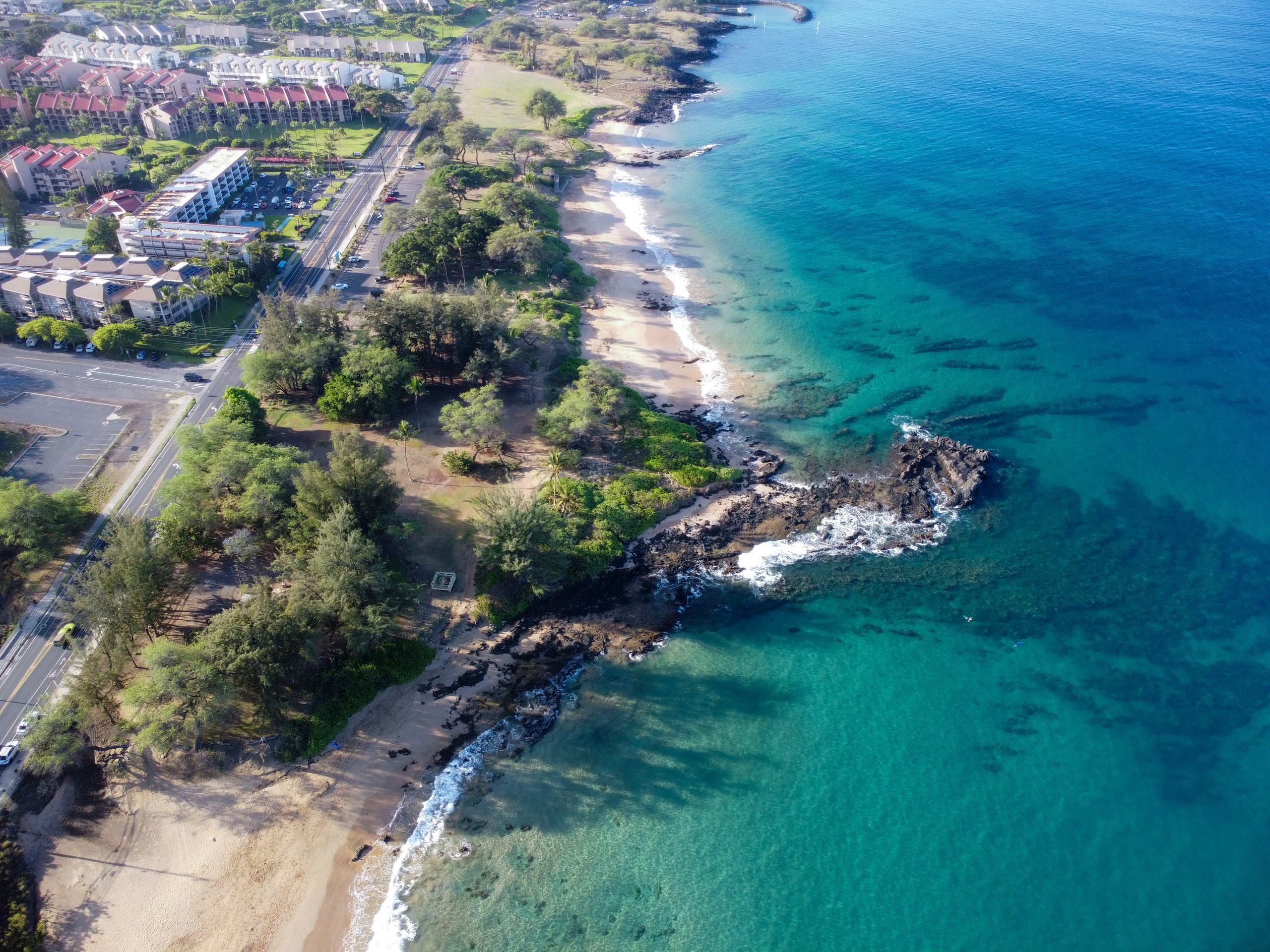 Condo in Kihei · ★5.0 · 1 bedroom · 2 beds · 1 bath - Image 65