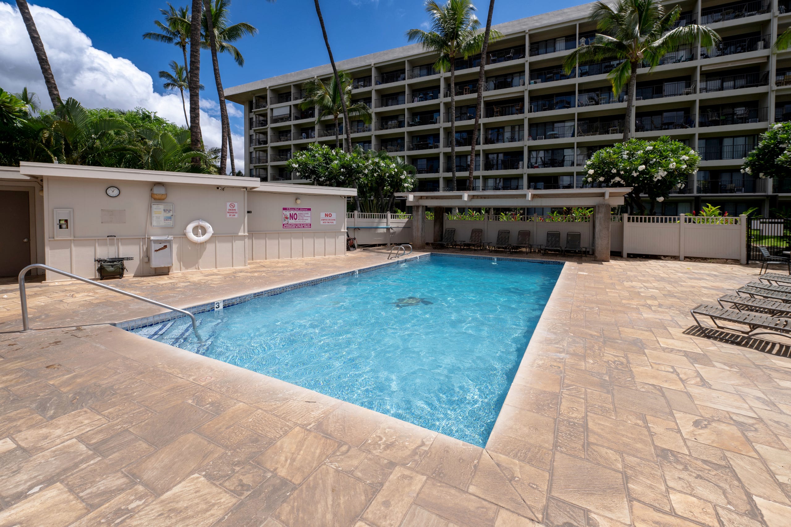 Condo in Kihei · ★5.0 · 1 bedroom · 2 beds · 1 bath - Image 49