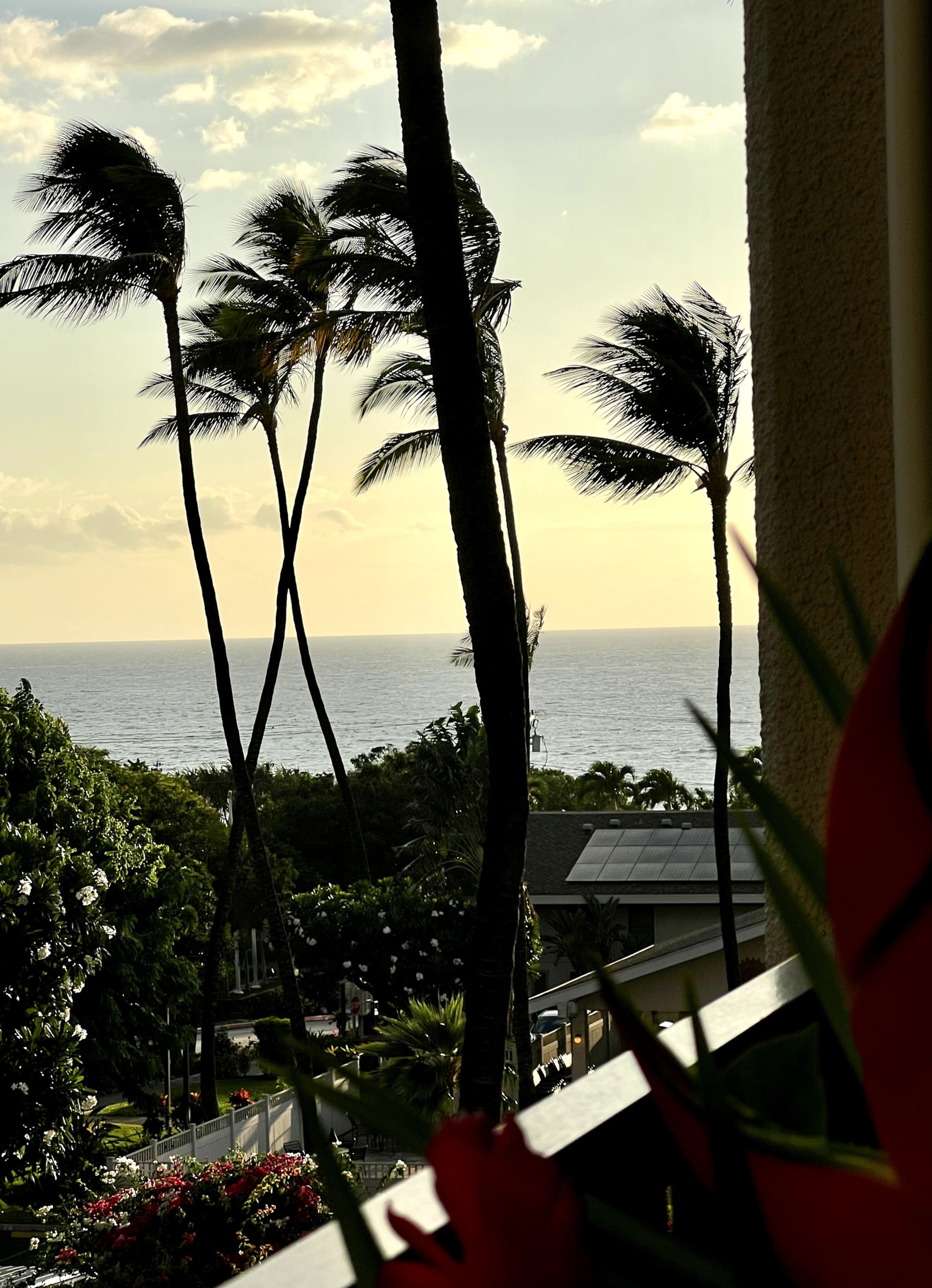 Condo in Kihei · ★5.0 · 1 bedroom · 2 beds · 1 bath - Image 55