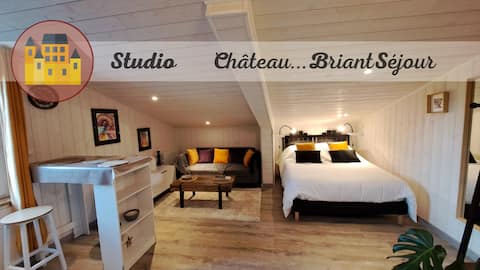 Cozy studio in the heart of Châteaubriant