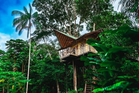 Ecohab Yewae