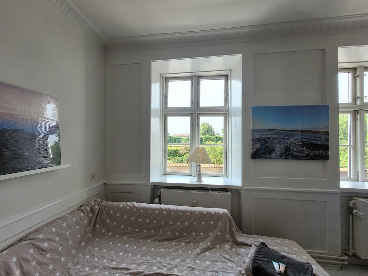 Tendrás las dos habitaciones más deliciosas del jardín del rey. 

dos habitaciones amplias y luminosas. 
La cama es un sofá gigante, equipado con mantas, almohadas, edredones y otros rincones acogedores.
Creo que esta es la mejor habitación.