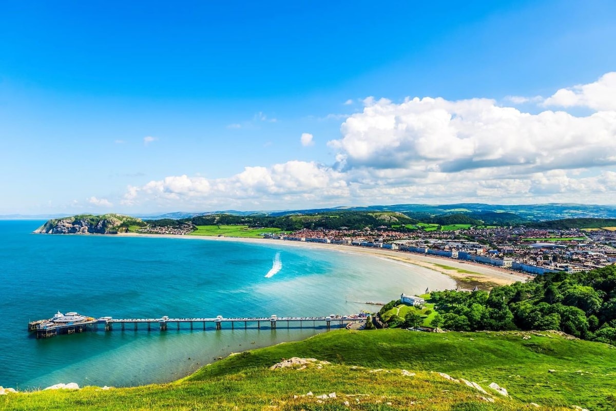 A panoramic view showcases a coastal landscape with the vibrant blue ocean meeting a sandy shore. A pier extends out into the water, surrounded by green hills and a quaint seaside town. Soft clouds float in a bright sky, creating a serene atmosphere.