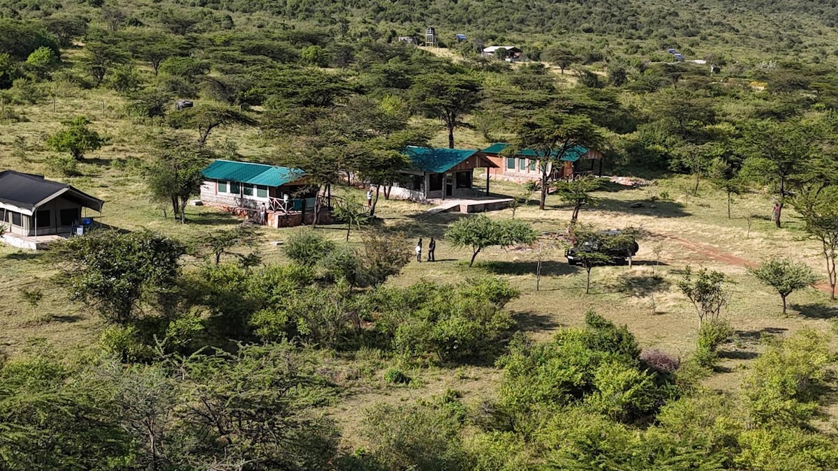 A view of the camp reveals multiple freestanding buildings with green roofs set amidst lush greenery. Guests can be seen walking on the expansive grounds, surrounded by trees and open grassland, highlighting the tranquil and private environment.