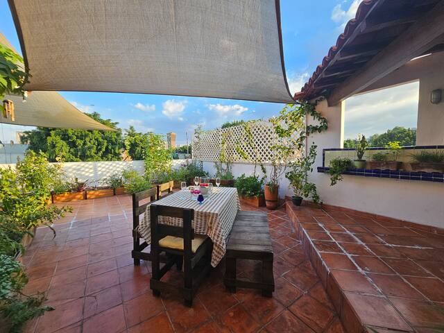 Huerto verde en la Roma gallery image 2