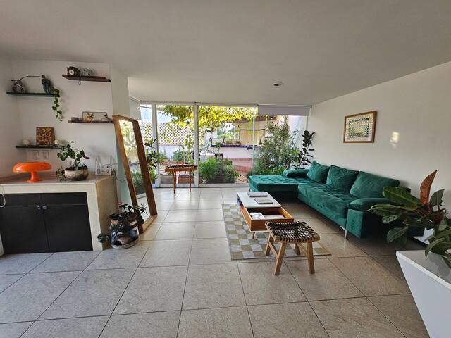 Huerto verde en la Roma gallery image 5