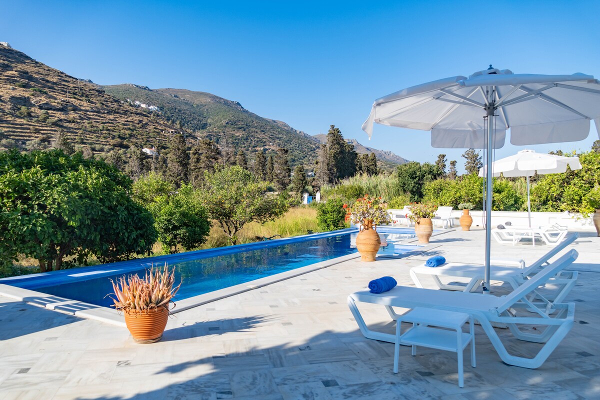 An expansive yard features a large swimming pool lined with lounge chairs and umbrellas for shade. Potted plants are placed around the area, adding greenery to the serene landscape, with distant hills visible in the background under a clear blue sky.