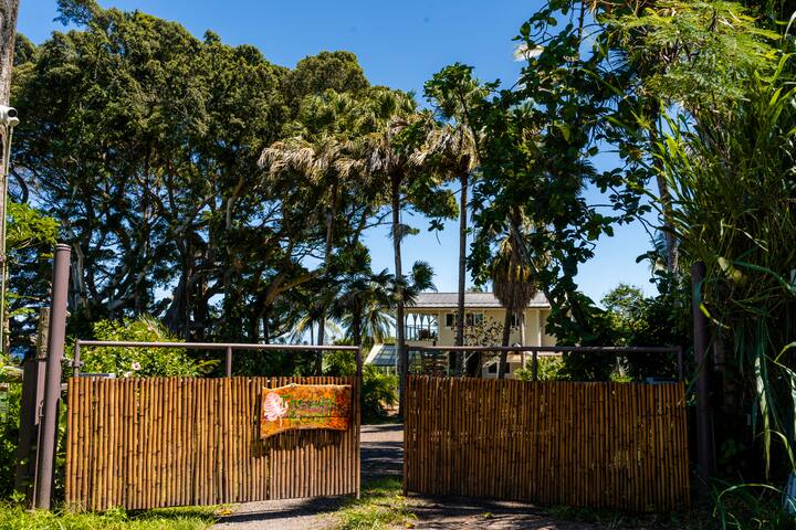 Entire Estate – The Last Resort gallery image 2