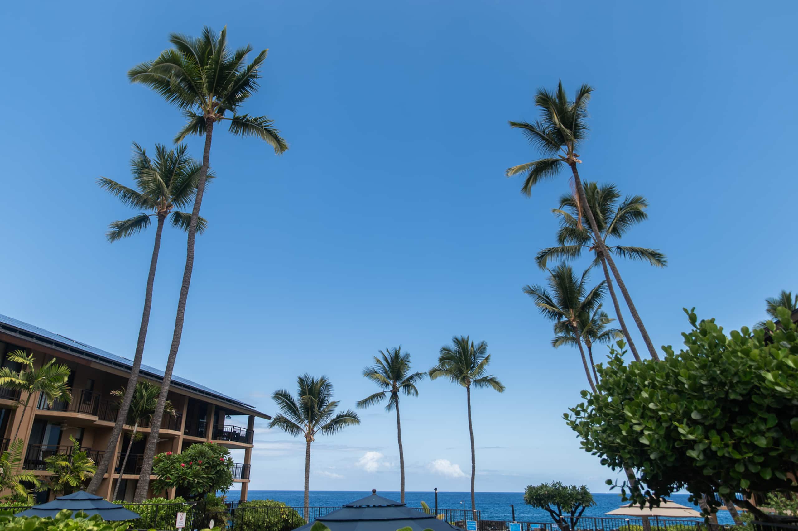 Classy condo in Kona - Photo 46