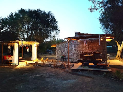 Olivia Eco home.