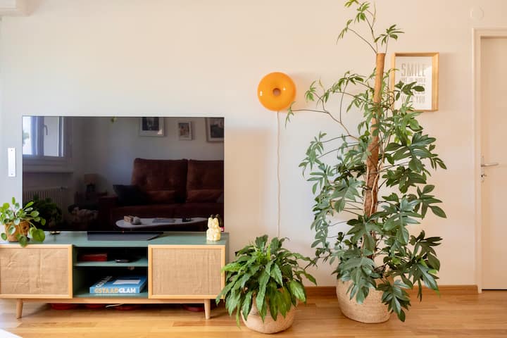 Appartement Au Bord Du Lac Pully - Lausanne