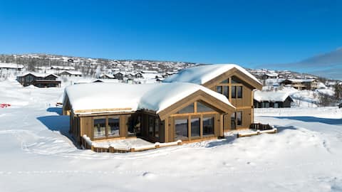 Newly built modern cabin
