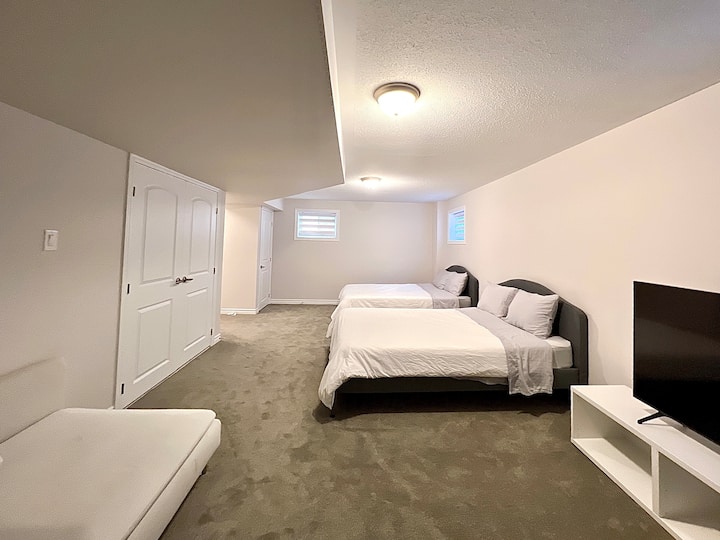 من التلفزيون.