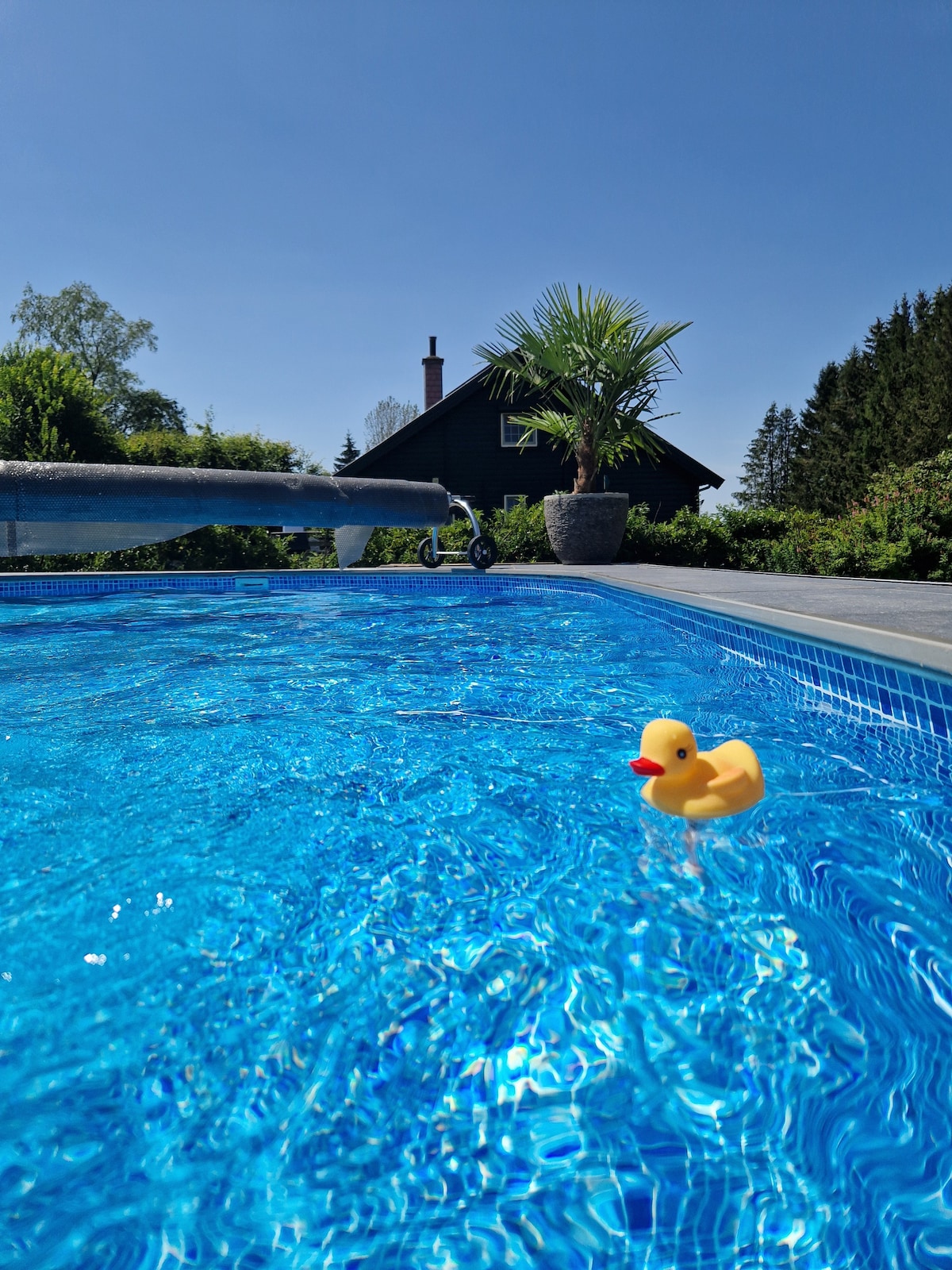 A private heated pool is shown under a clear blue sky, reflecting vibrant shades of turquoise. A small rubber duck floats on the water's surface, while lush greenery and a palm plant are visible in pots along the poolside, enhancing the tranquil setting.