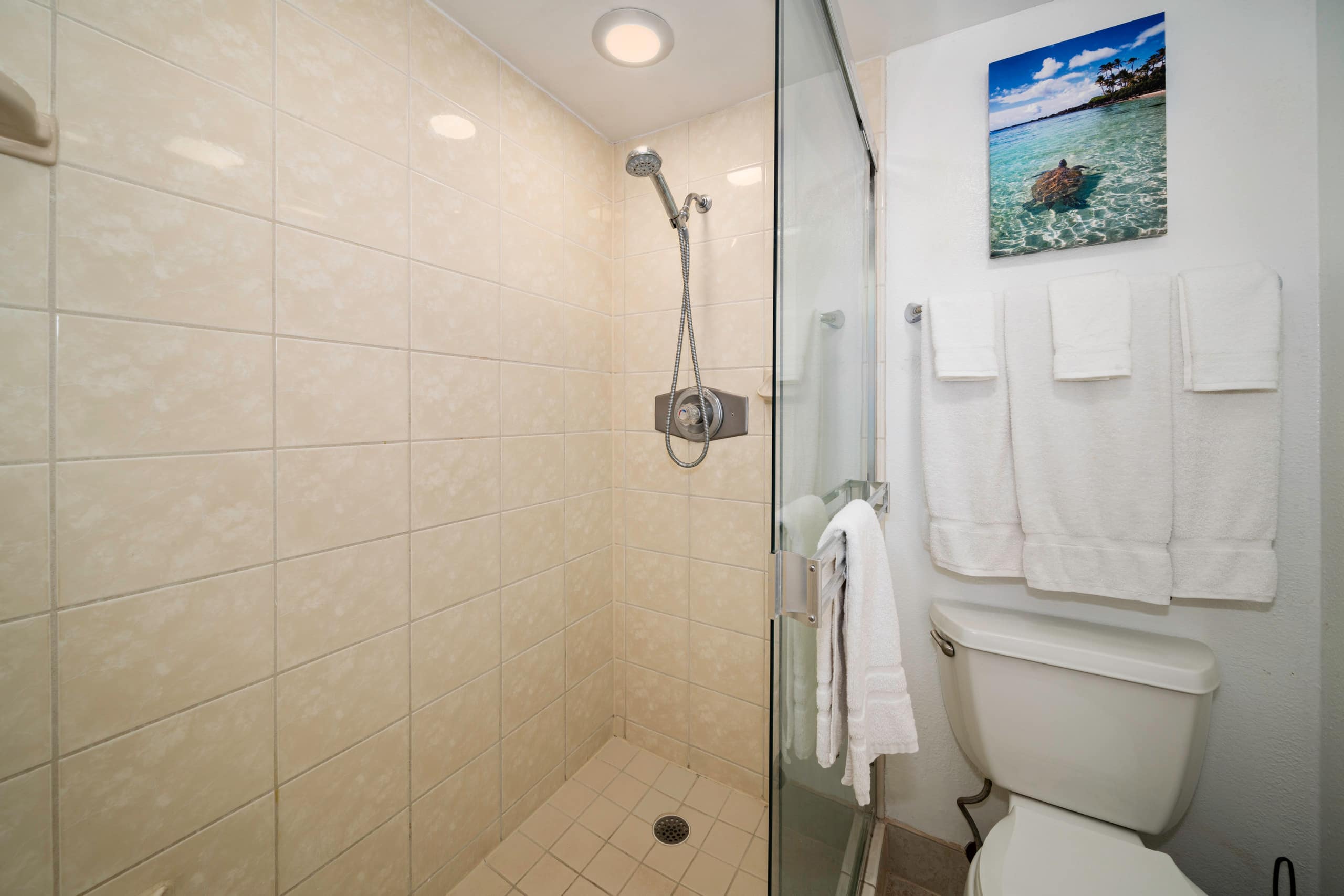 Royal Kahana Maui Unit 410 Oceanfront 2B/2.5B - Image 15