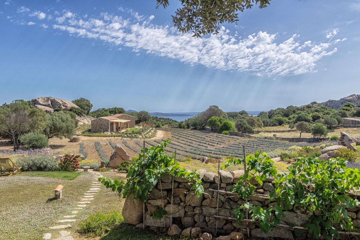 An expansive view of the countryside is presented, featuring rolling hills planted with rows of greenery. Stone pathways lead through a garden area adorned with low stone walls and vines. The sky is bright with scattered clouds, and the distant sea is visible on the horizon.