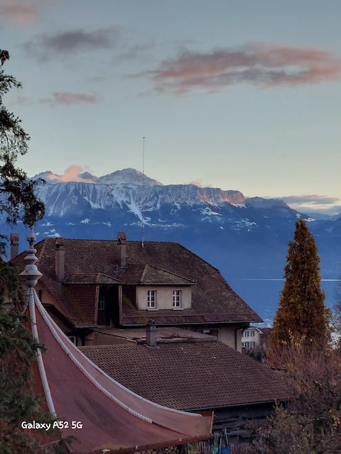 Spacious with lake-Alps view, near center