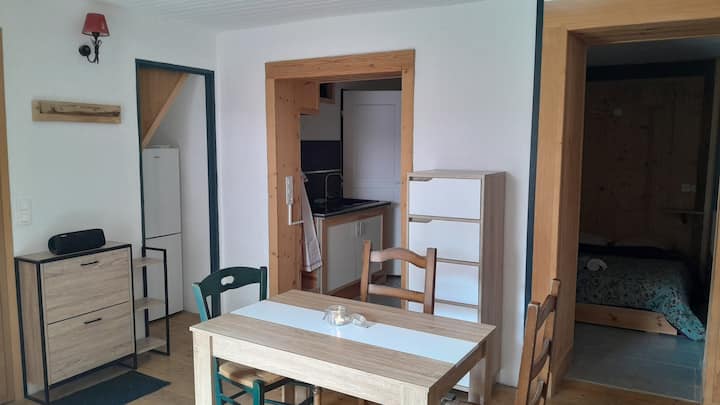 T1/studio Centre Et Calme - Taninges