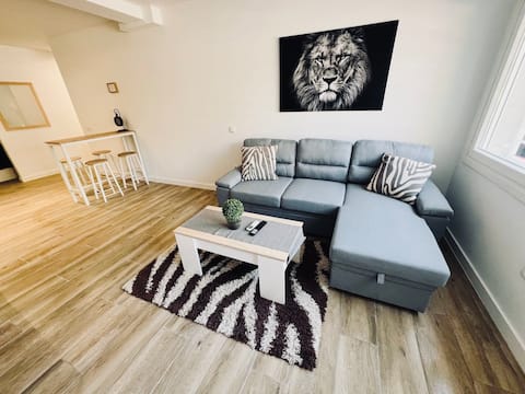 Apt. 1 Leones with Netflix and WiFi