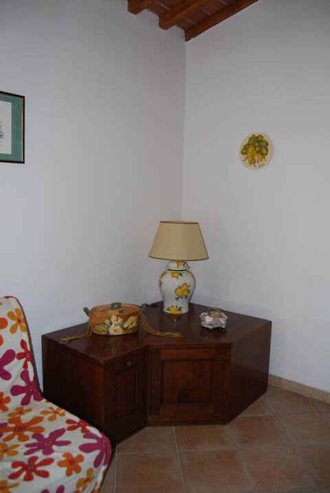 Airbnb con migliori performance: La Carraia: a big apartment in the heard ofTuscany a Pomarance
