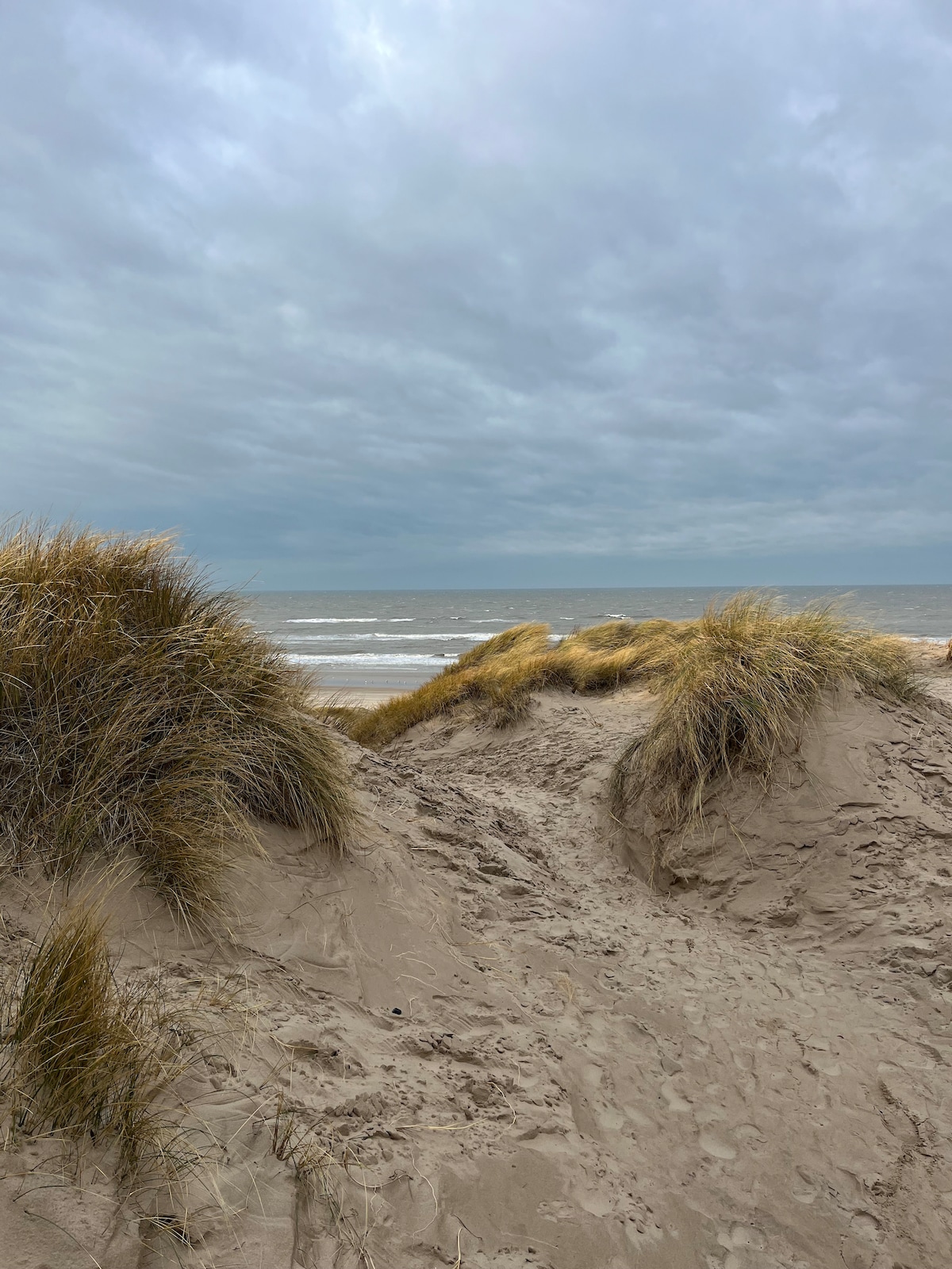 Dune grass frames a sandy path leading to the beach. The shoreline is visible in the background, with gentle waves lapping at the sand. A cloudy sky casts a soft light over the scene, contributing to a serene atmosphere.