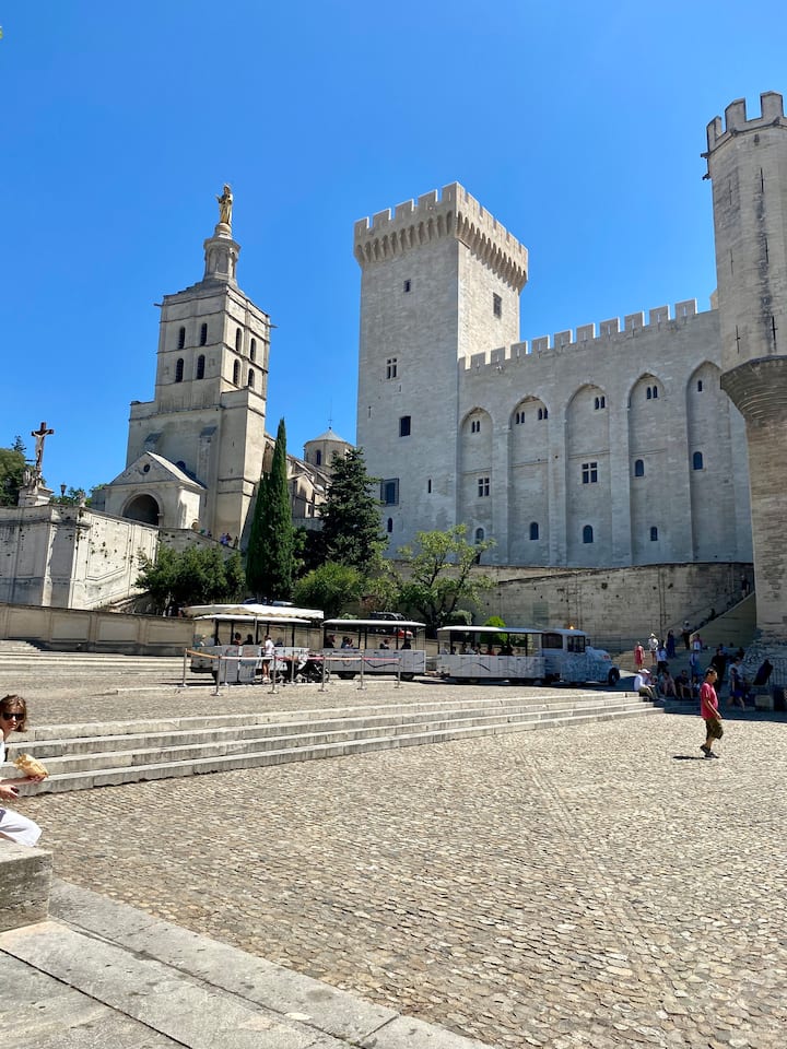 Appartement Du 16è Siècle - Avignon