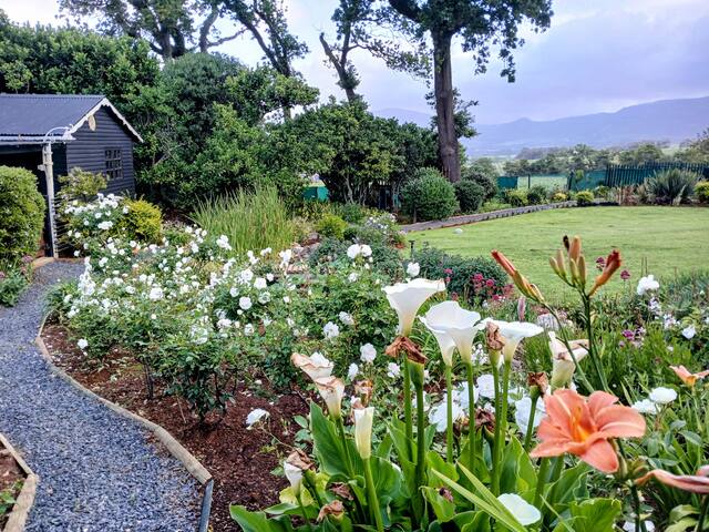 Family Friendly Cottage: Pool, BBQ, Vineyard views gallery image 5