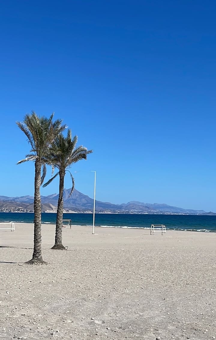 Luminoso Estudio En El Campello - El Campello