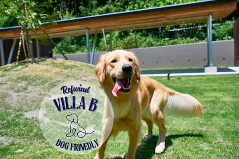 Pet-friendly luxury villa with pool, sauna and BBQ