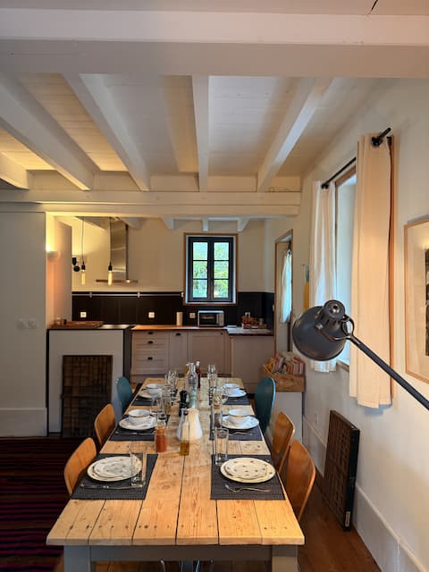 Charming house near Geneva, view and terrace