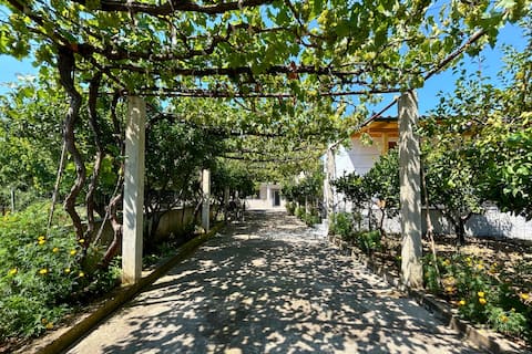 Top performing Airbnb: [Garden House] - 5 min from the sea in Orikum