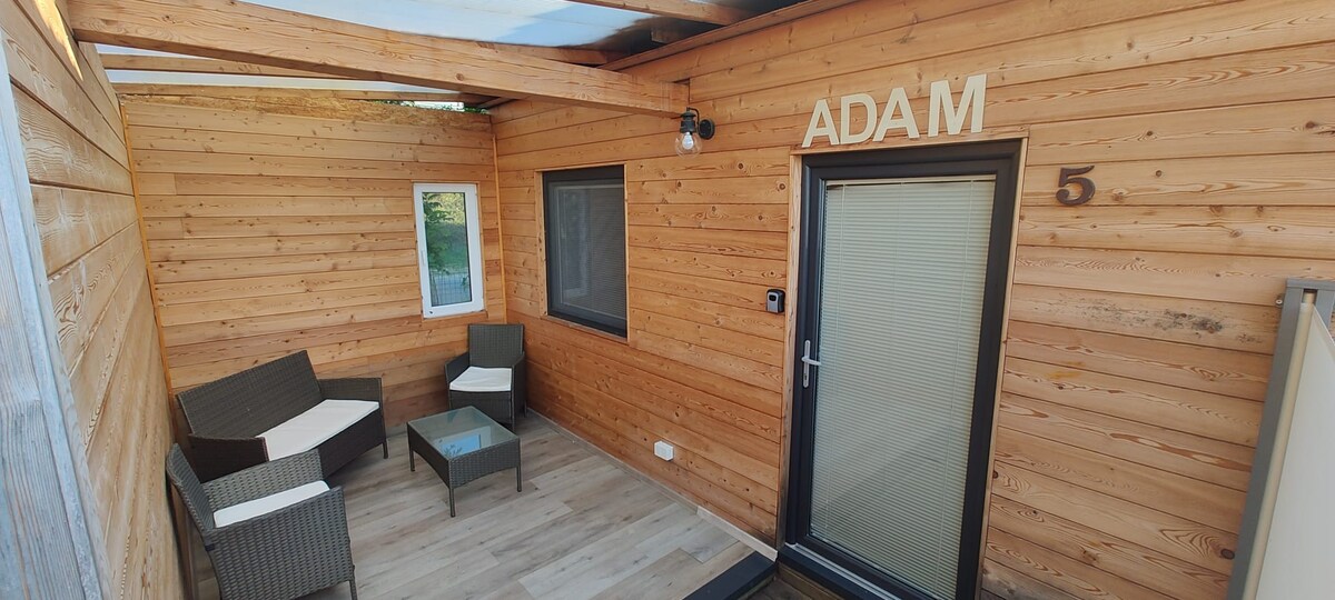 An entrance area is depicted, featuring a small seating arrangement with two chairs and a table, all set against a wooden wall. A door with a window offers entry, while the name 'ADAM' is displayed prominently above. Natural light enhances the cozy atmosphere.
