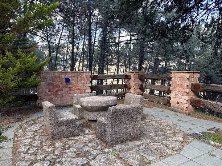 Rincón con mesa y bancos de piedra entre los pinos: perfecto para comer al aire libre.