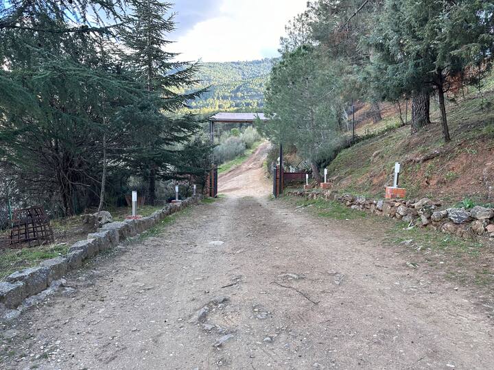 Camino de acceso a la finca entre árboles: entorno tranquilo en plena sierra.