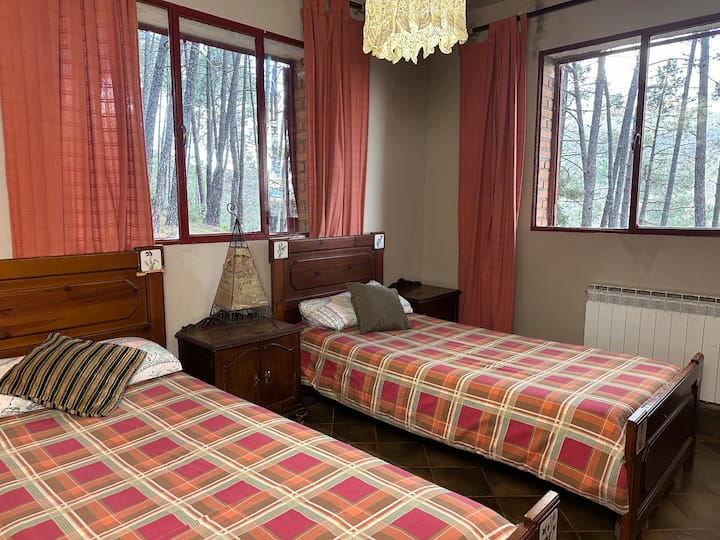 Dormitorio 4 con camas individuales y ventanales al bosque: tranquilo y luminoso.