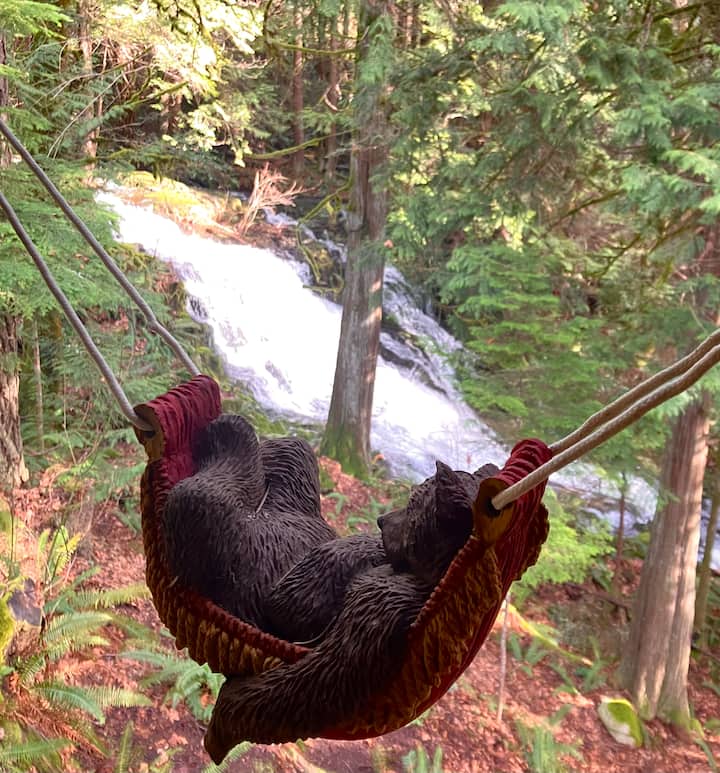 Sunshine Acre Falls - Vancouver Island