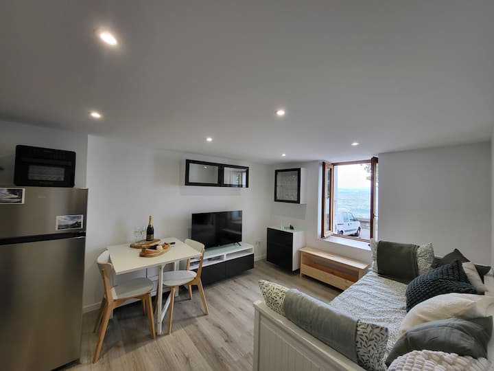 Vue Direct Sur Le Lac Leman! Deux Appartements - 洛桑市