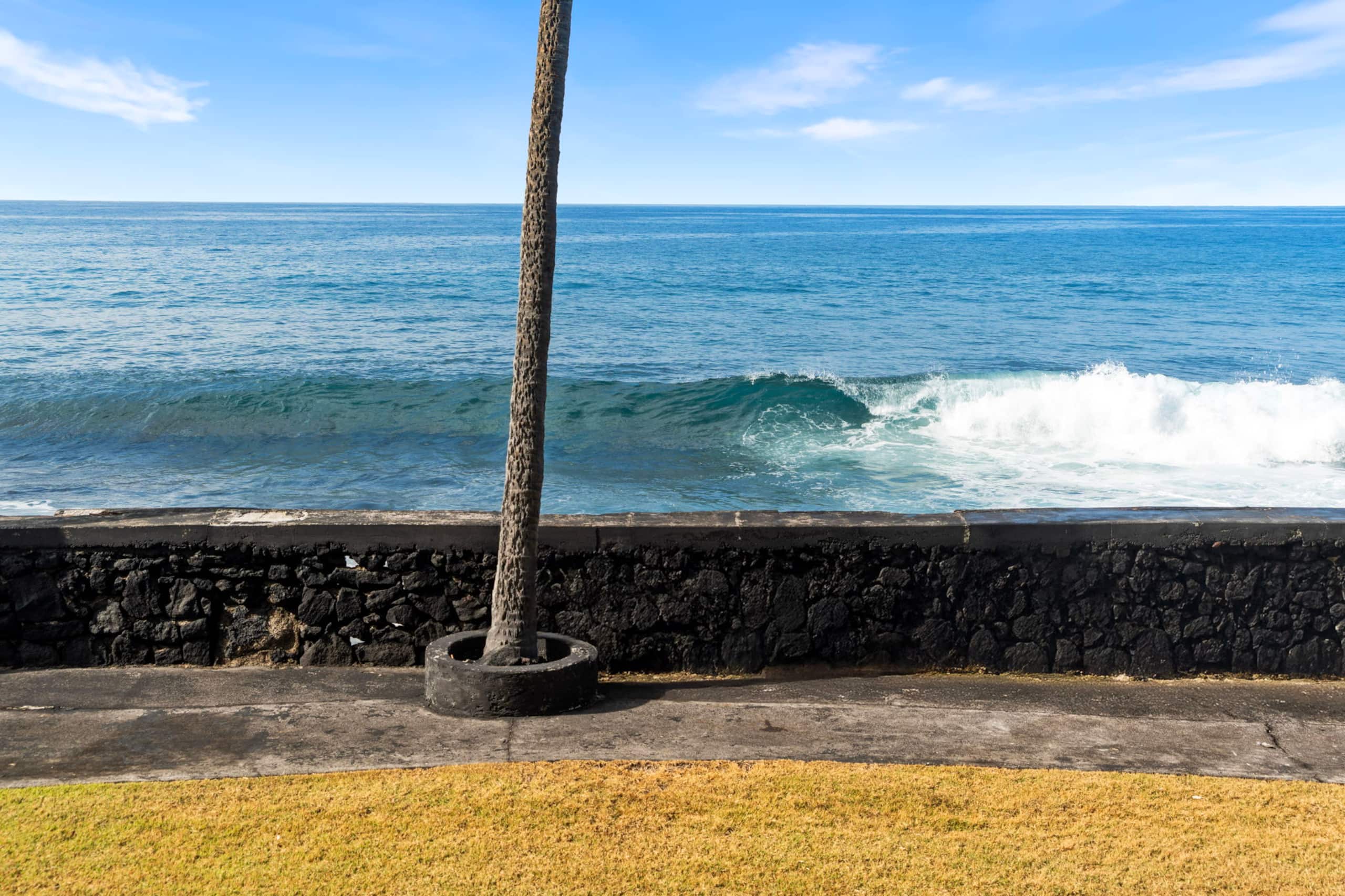 Condo in Kailua-Kona · ★4.95 · 1 bedroom · 1 bed · 1 bath - Image 55
