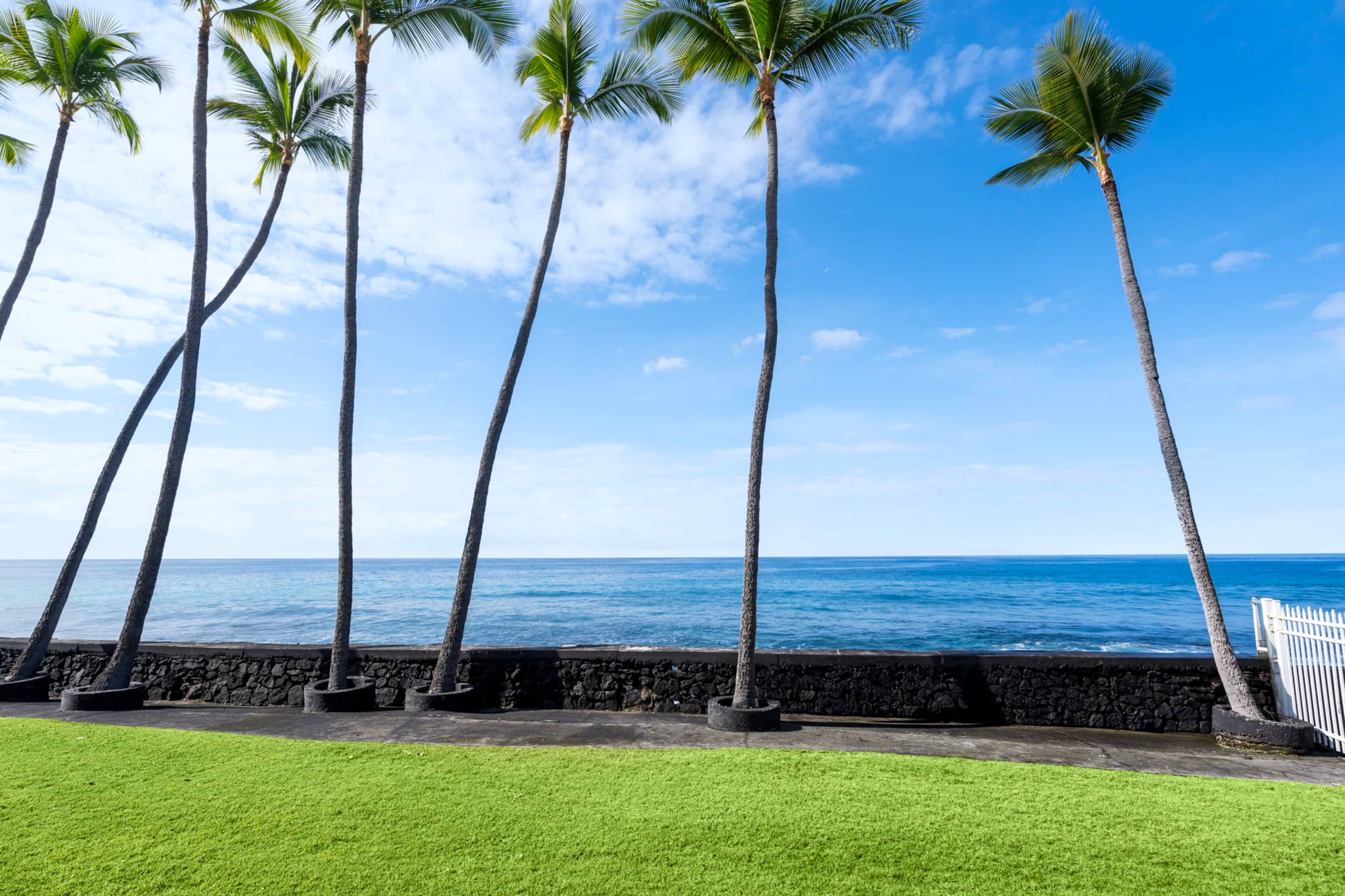 Condo in Kailua-Kona · ★4.95 · 1 bedroom · 1 bed · 1 bath - Image 75