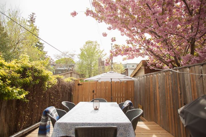 Entire Harbord Village Home with movie theatre gallery image 4