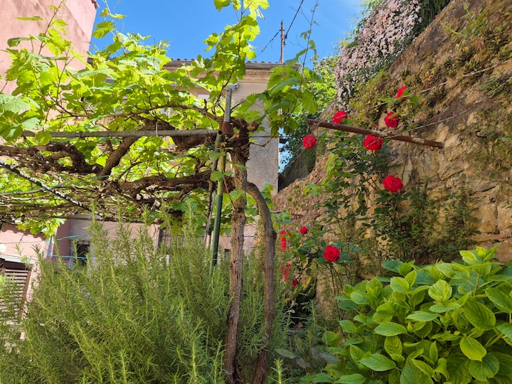 New - Garden Apartment Near Sea - Pirano