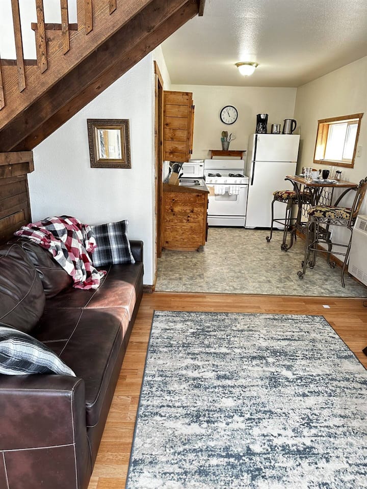 Sleeper sofa in the living room overlooking the kitchen