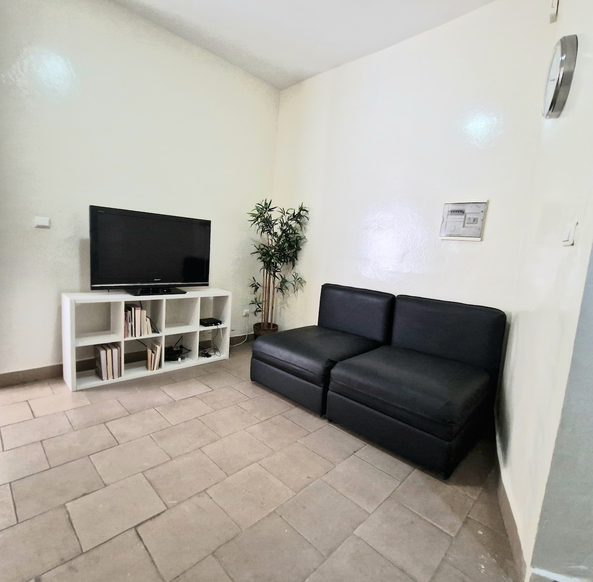 A cozy living area features a dark sofa positioned next to a television on a white media unit. A tall plant adds a touch of greenery, and natural light brightens the neutral-toned walls and tiled floor.